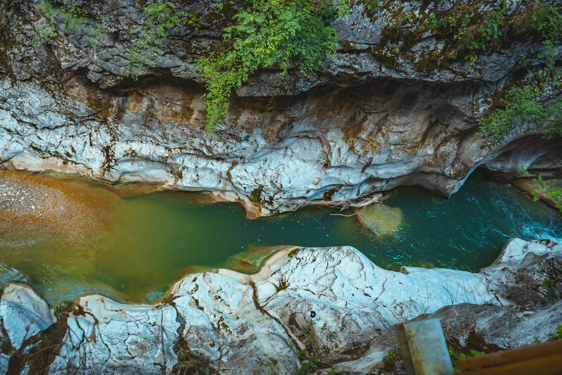 ️ Les meilleurs canyons de Corse