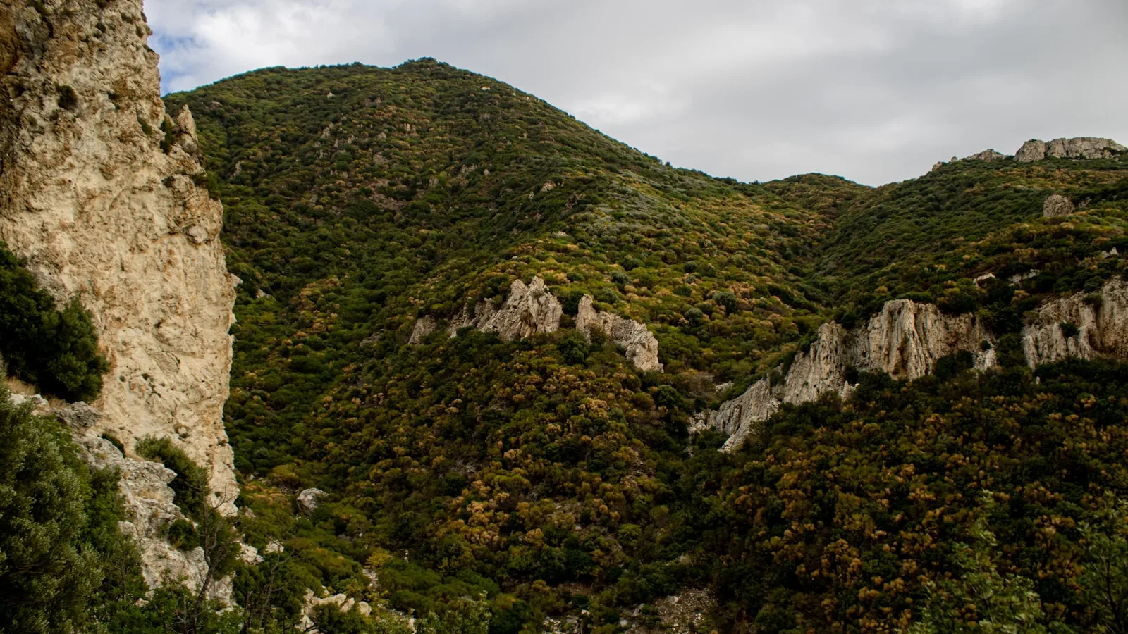 ️ Paysages et nature