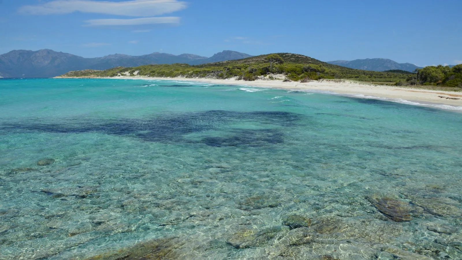 ️ Les plages : attention aux arrêtés estivaux