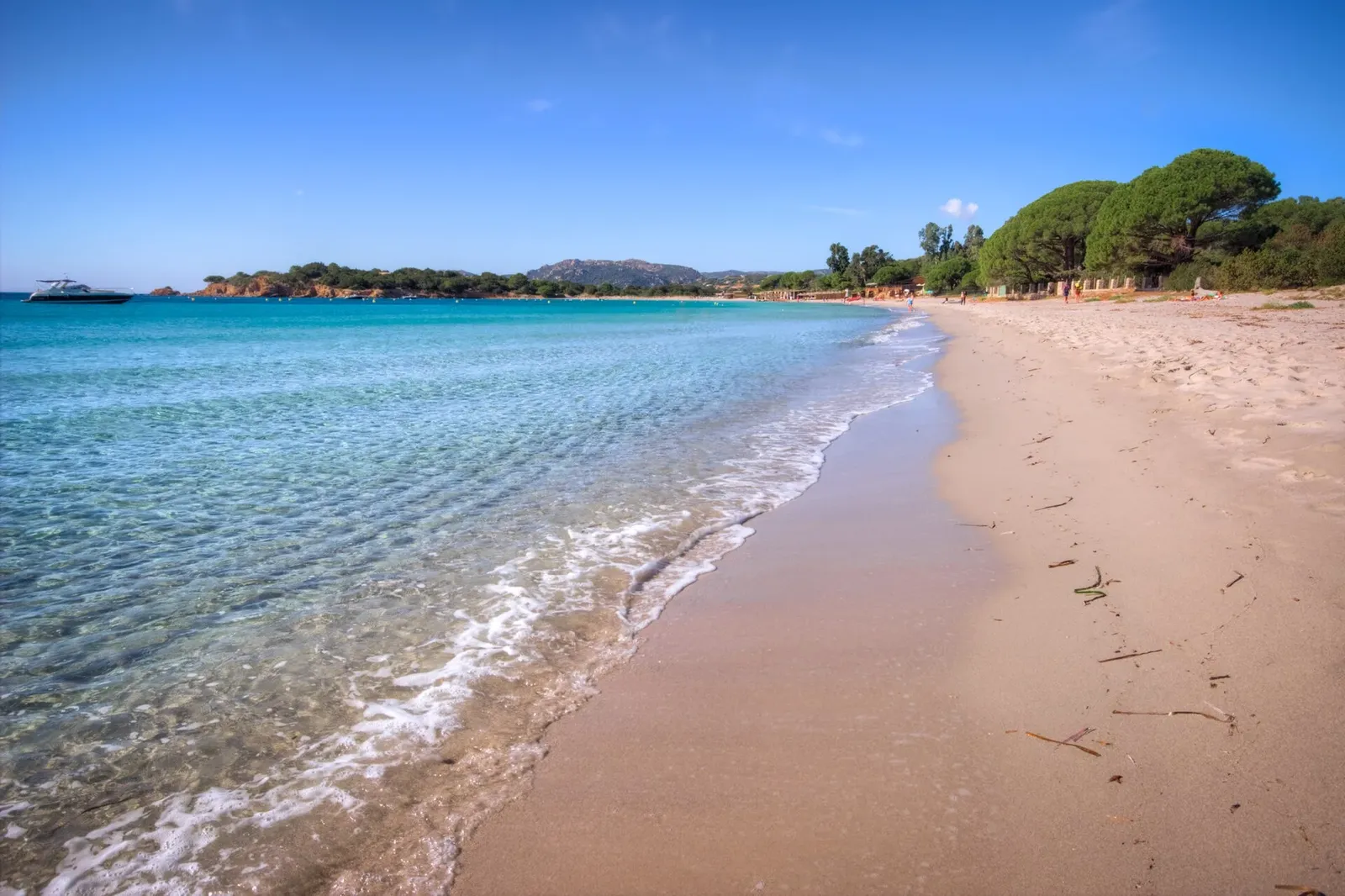 Plage de sable clair bordée d'une eau turquoise transparente, avec des pins parasols et des collines au loin sous un ciel bleu