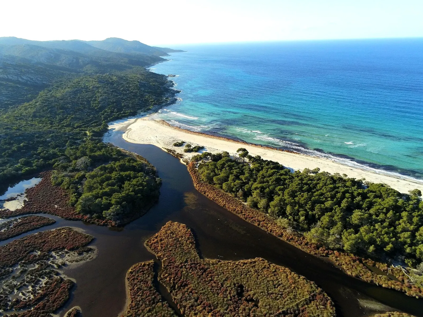 Vue aérienne de la plage de Saleccia : sable clair, mer turquoise, pinède et rivière bordée de végétation rousse