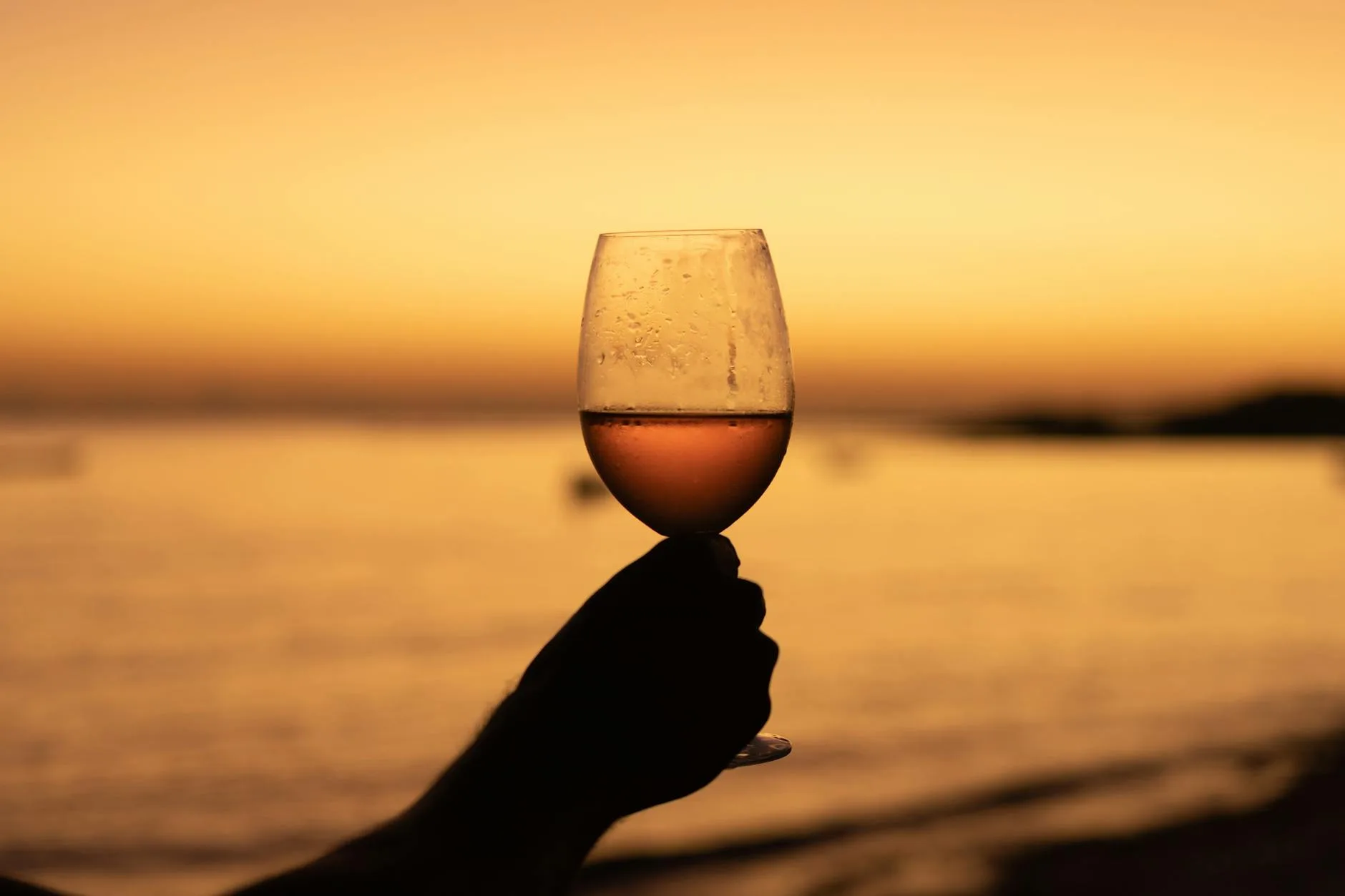 Apéritif et vins