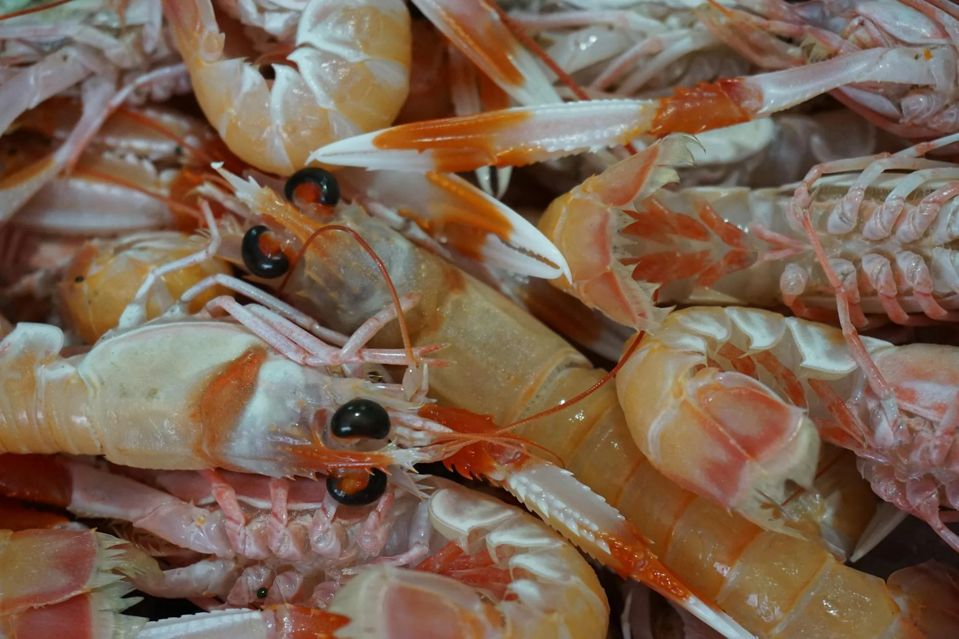 Les restaurants de poissons